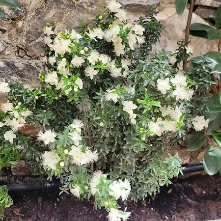 Industrial - Le Petit Bati * Volos