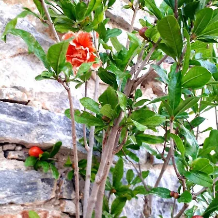 Industrial - Le Petit Bati Appartamento Volos