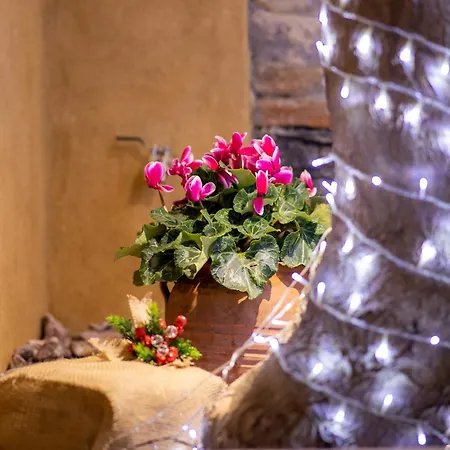 Industrial - Le Petit Bati شقة